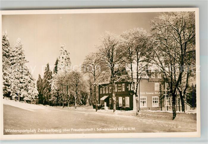 Zwieselberg Freudenstadt Hotel Pension Hirschen Post mit Haus Hermann im Winter
