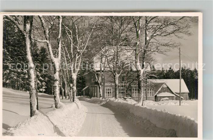Oberzwieselberg Hotel Pension Hirsch Winterlandschaft Schwarzwald