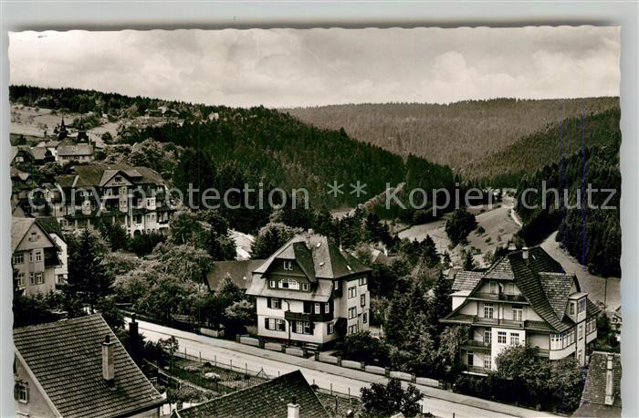 FREUDENSTADT BW Panorama Blick ins Christophtal Schwarzwald