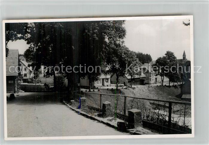 Kniebis Freudenstadt Teilansicht Alter Baum