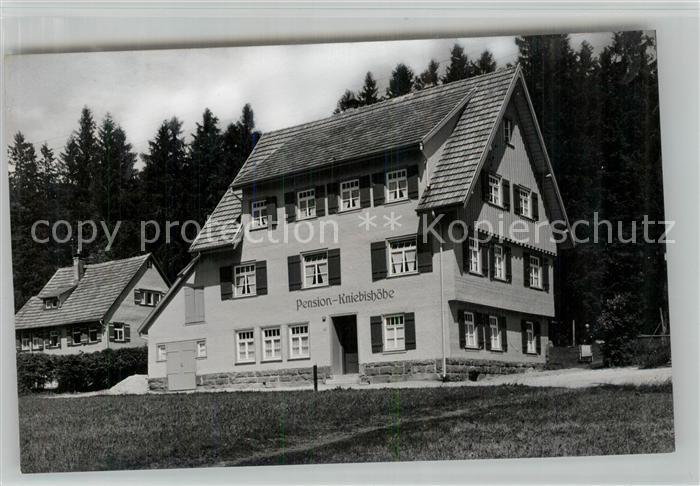 Kniebis Freudenstadt Pension Kniebishoehe Schwarzwald