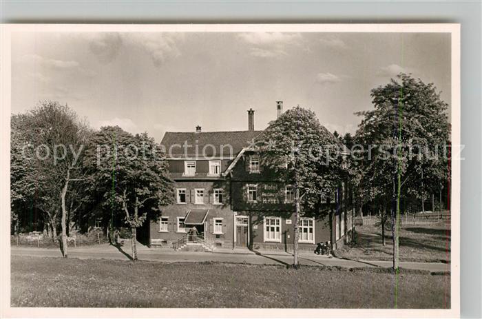 Oberzwieselberg Hotel Pension Hirsch Kurort Wintersportplatz im Schwarzwald