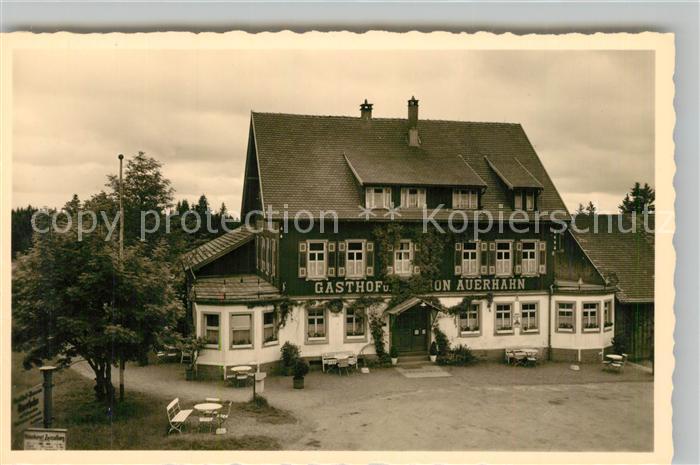 Zwieselberg Freudenstadt Gasthof zum Auerhahn Kurort Wintersportplatz im Schwarz