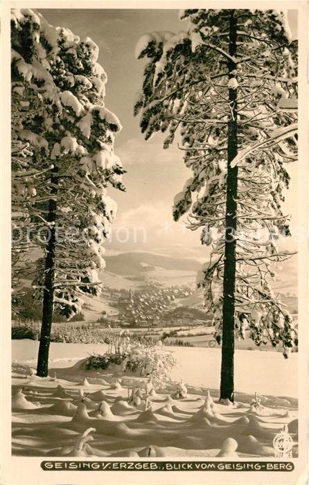 Foto Hahn Nr. 6802 Geising Erzgebirge