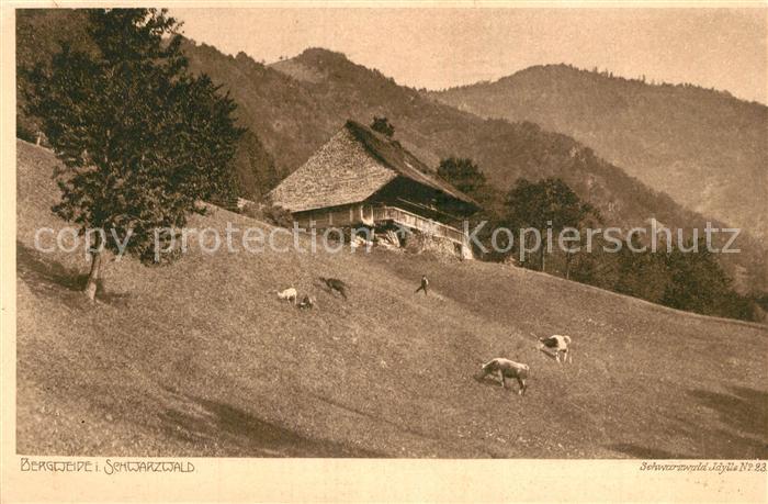 Verlag Elchlepp Nr. 23 Schwarzwaldhaus Bergweide Kühe