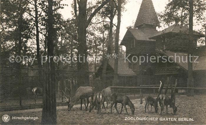 Zoo Berlin Hirschgehege