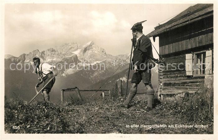 Landwirtschaft Alm Sense Eckbauer droben