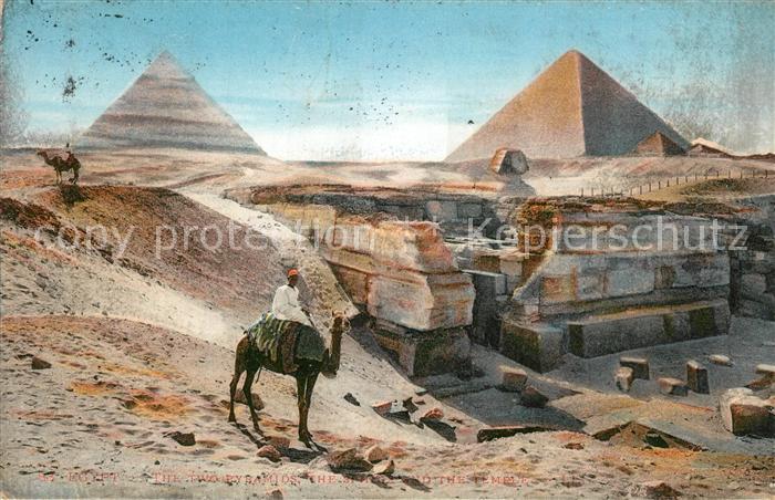 Kamel  Camel Chameau Egypte Deux Pyramides Sphinx Temple