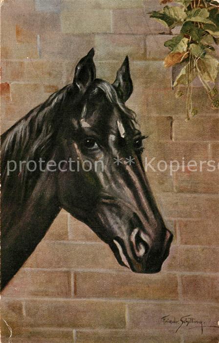 Kuenstlerkarte Friedr. Schilling Pferd
