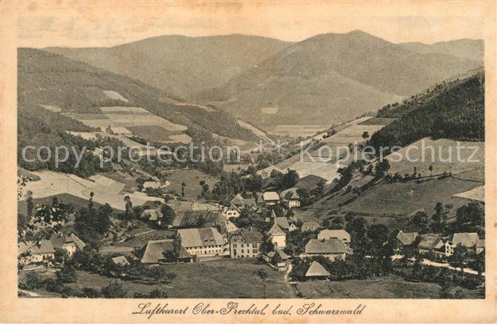 Oberprechtal Panorama