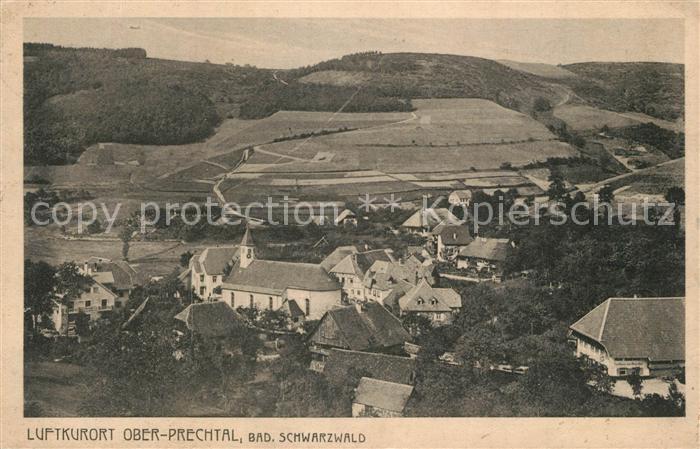 Oberprechtal Panorama