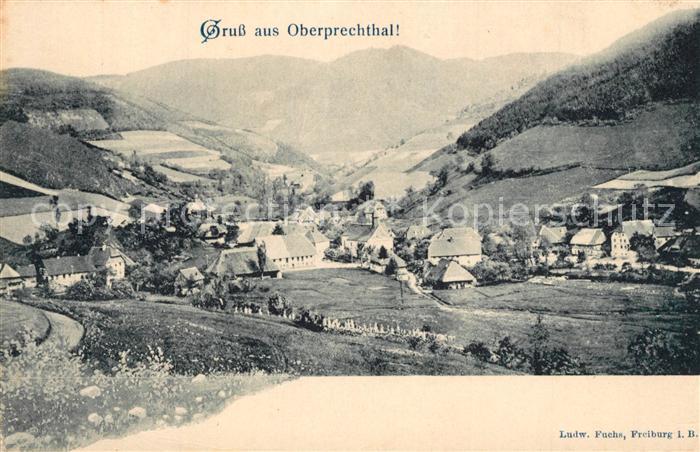 Oberprechtal Panorama