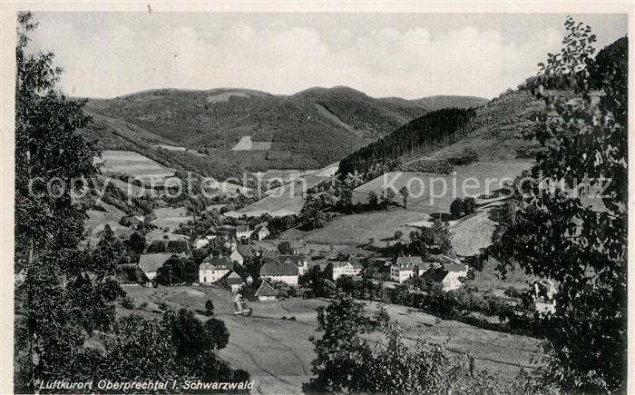 Oberprechtal Panorama
