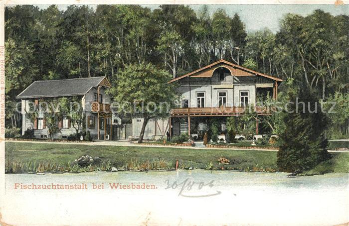 Wiesbaden Fischzuchtanstalt