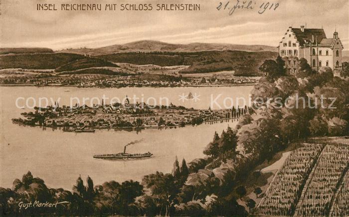 Salenstein TG Panorama mit Insel Reichenau Kuenstlerkarte