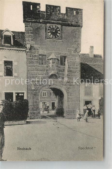 Breisach Rhein Specktor