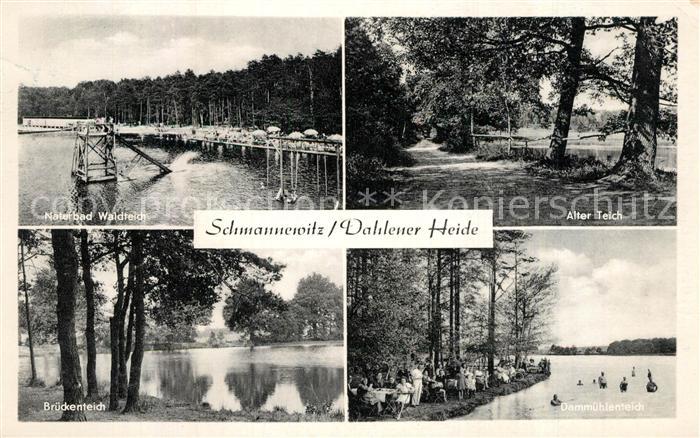 Schmannewitz Naturbad Waldteich Alter Teich Brueckenteich Dammuehlenteich
