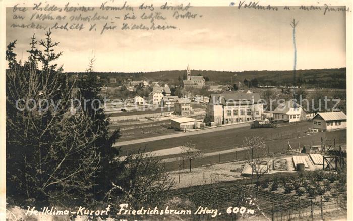 Friedrichsbrunn Harz Panorama