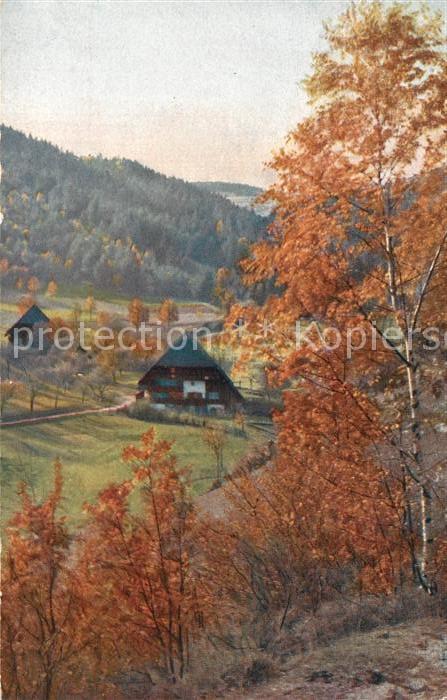 Hornberg Schwarzwald Herbststimmung