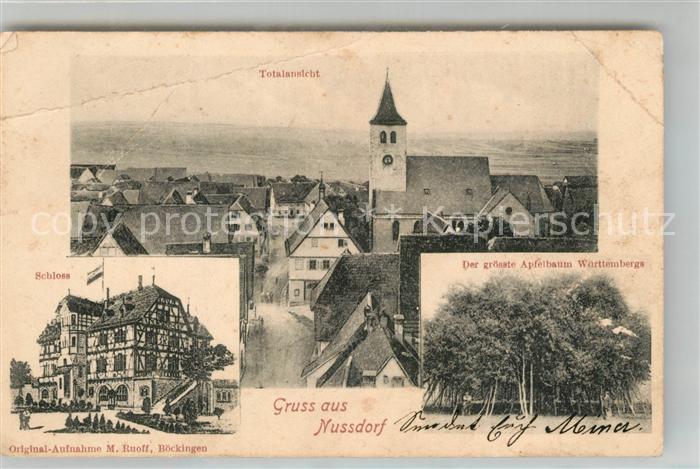 Nussdorf ueberlingen Panorama Schloss groesster Apfelbaum Baden Wuerttemberg