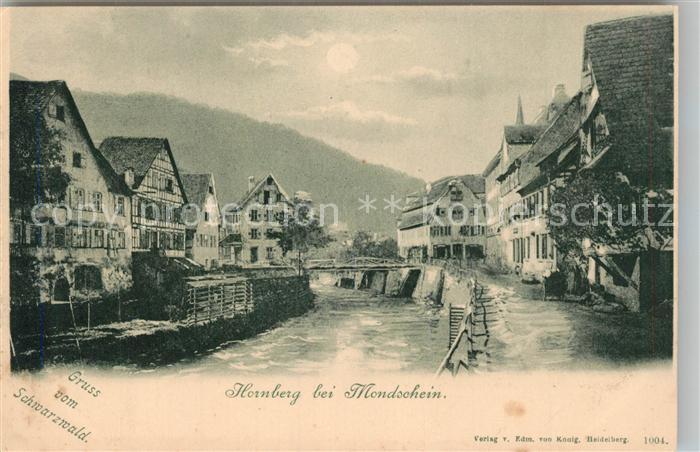 Hornberg Schwarzwald Panorama Mondschein