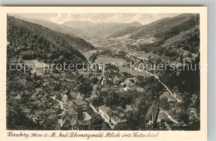 Hornberg Schwarzwald Blick ins Gutachtal Fliegeraufnahme