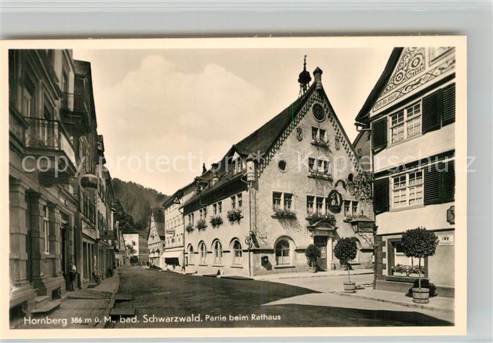 Hornberg Schwarzwald Rathaus Stadtpanorama