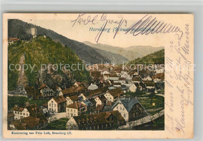 Hornberg Schwarzwald Panorama