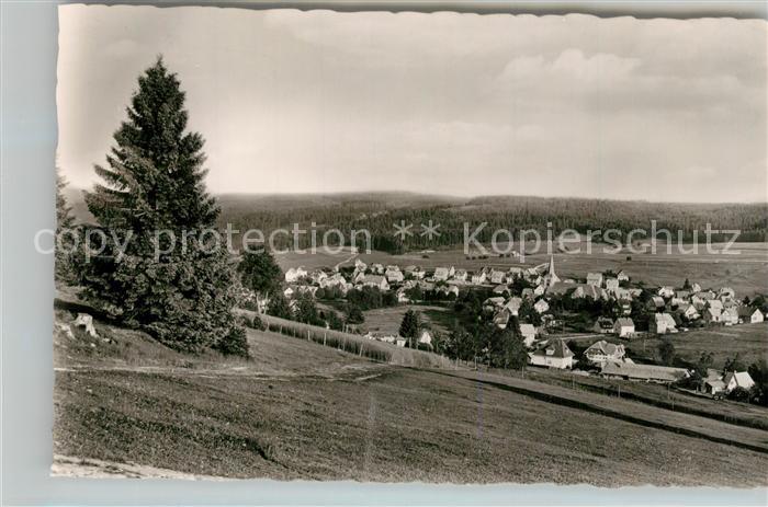 Schonach Schwarzwald Panorama