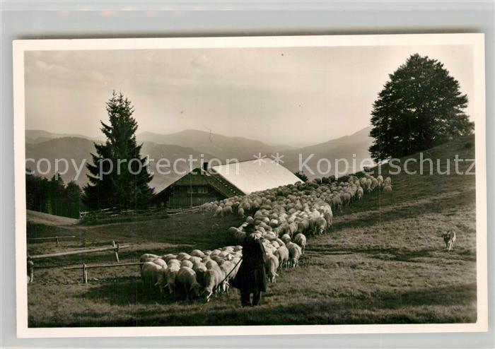 Schwarzwald Knöpflesbrunnen