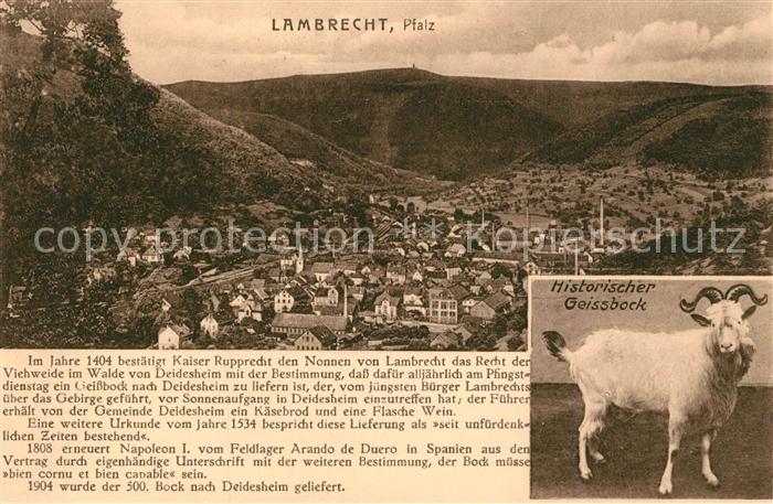 Lambrecht Panorama Historischer Geissbock