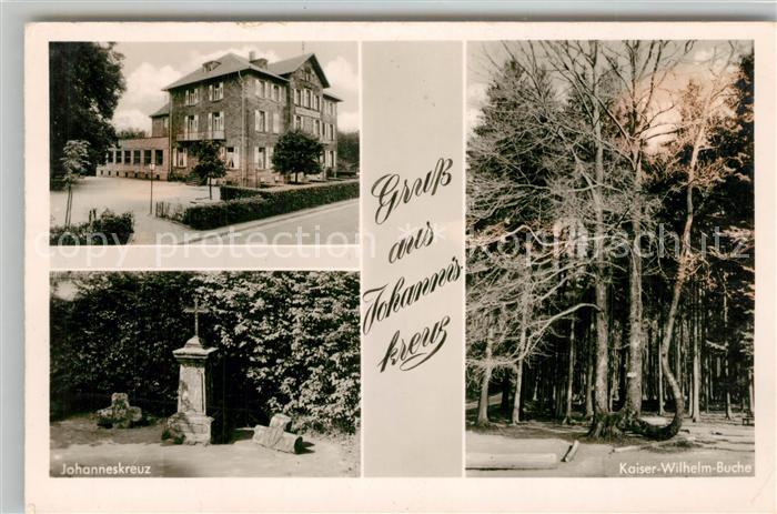 Trippstadt Waldkurhaus Johanniskreuz mit Kaiser Wilhelm Buche