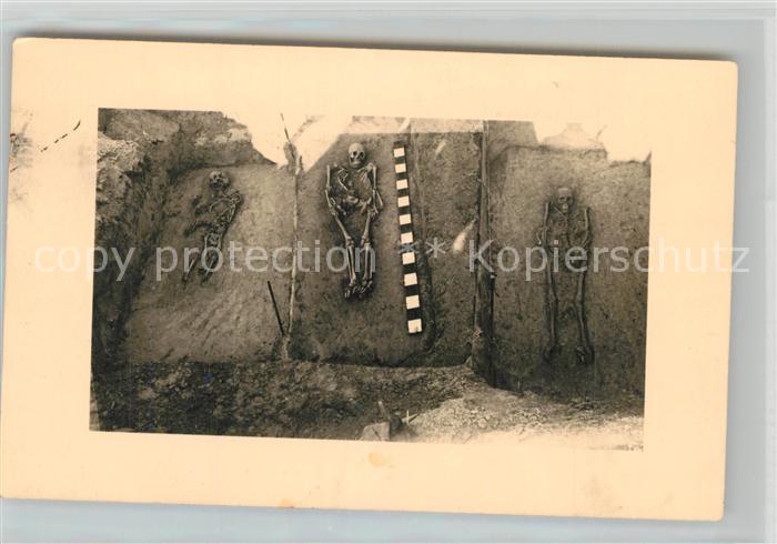 Freiburg Breisgau Museum fuer Ur und Fruehgeschichte Skelette