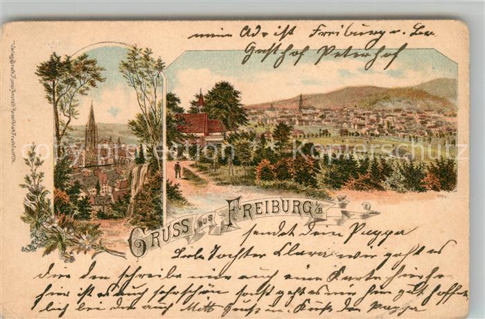 Freiburg Breisgau Muenster Stadtansicht