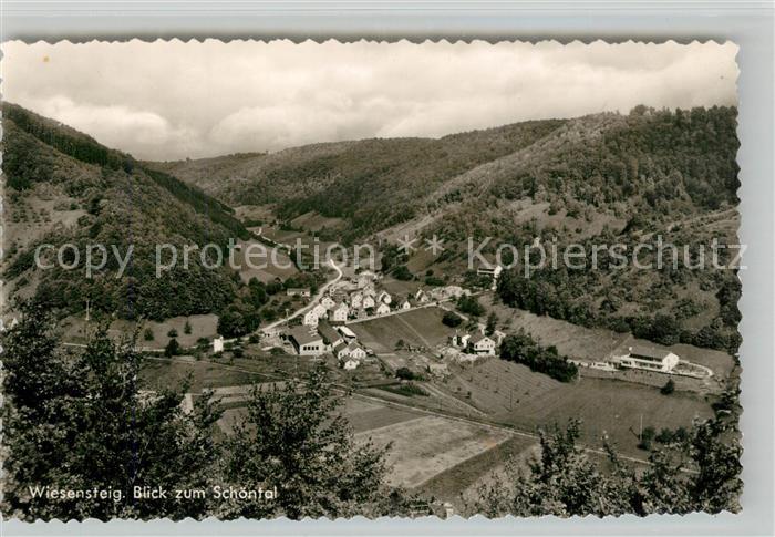 Wiesensteig Blick zum Schoental