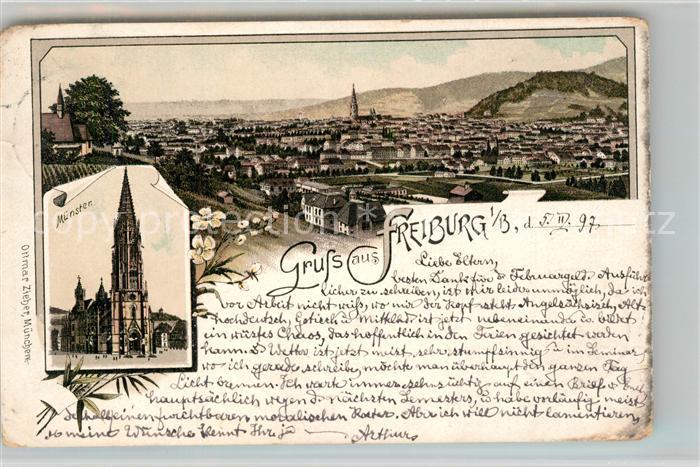 Freiburg Breisgau Panorama Muenster