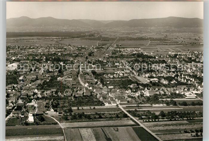 Hassloch Pfalz Fliegeraufnahme mit Hardtgebirge