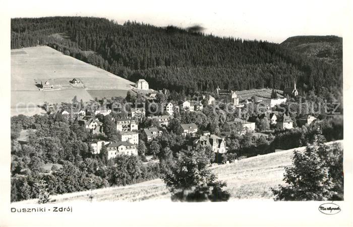 Bad Reinerz Niederschlesien Panorama