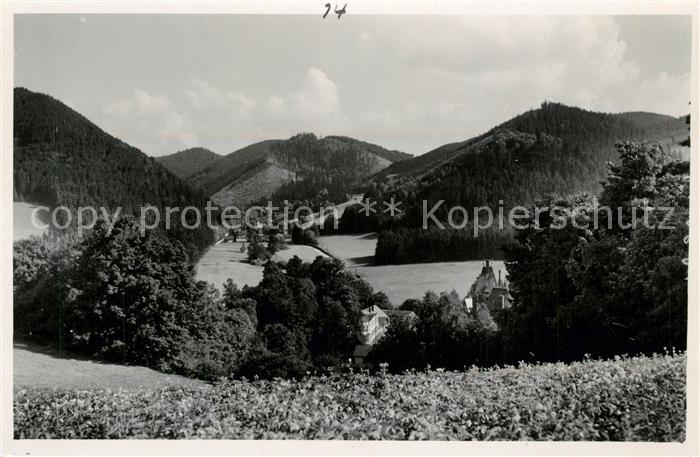 Goerbersdorf Schlesien Buettnergrund NZ4