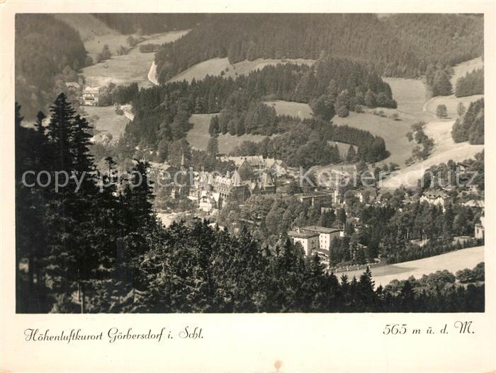 Goerbersdorf Schlesien Panorama