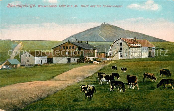 Wiesenbaude Riesengebirge Schneekoppe Panorama