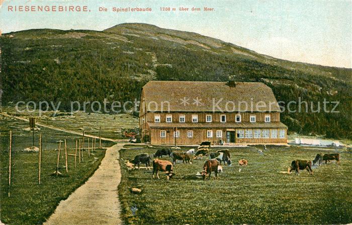 Spindlerbaude Gasthaus Viehweide