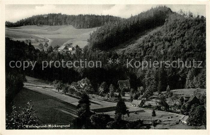 Woelfelsgrund Glatz Mueckengrund