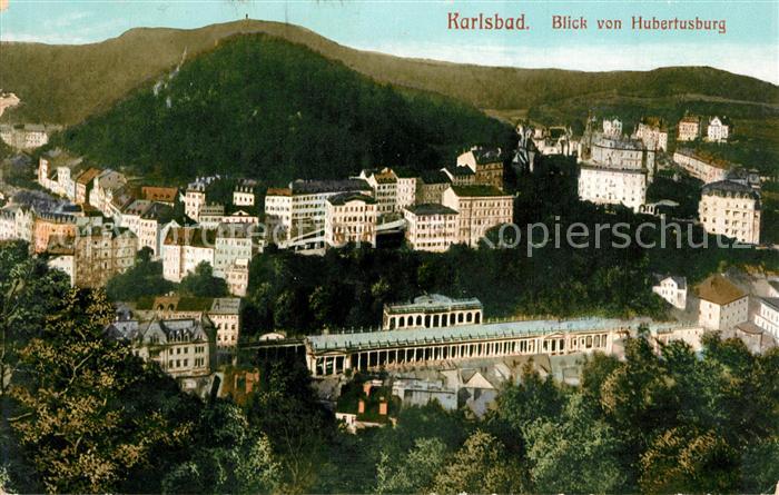 Karlsbad Eger Blick von Hubertusburg