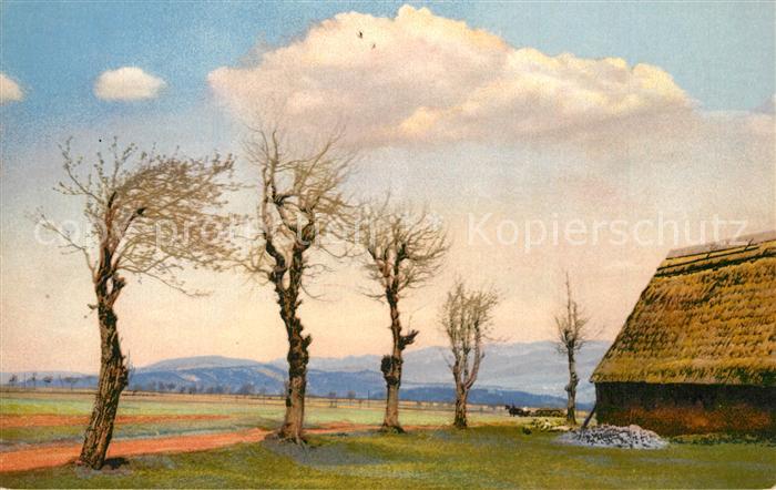 Nollendorf Naklerov Nollendorfer Hoehe