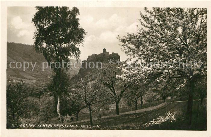 Aussig Tschechien Burgruine Schreckenstein