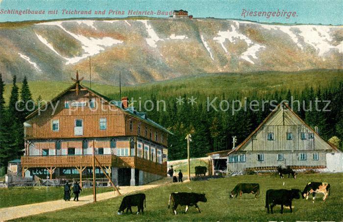 Schlingelbaude Teichrand Prinz-Heinrich-Baude