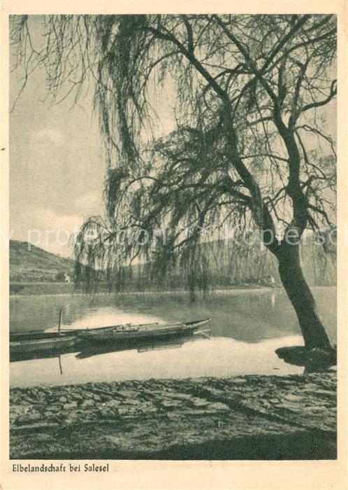 Salesel Tschechien Elbelandschaft