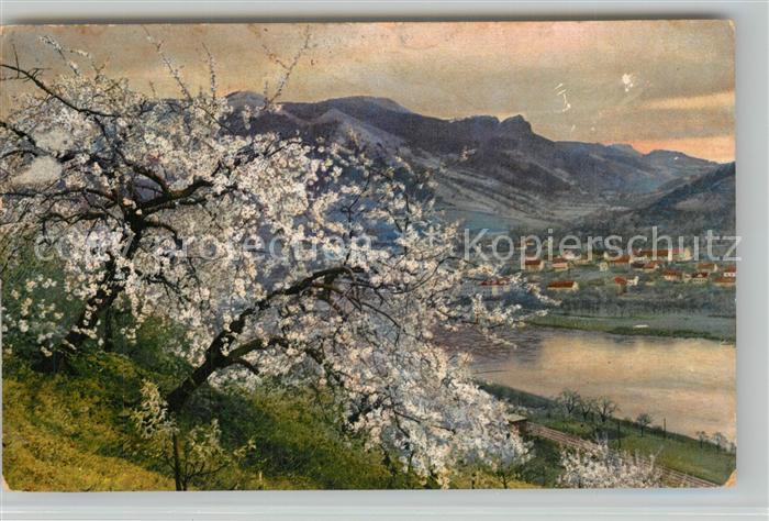 Salesel Tschechien Fruehling