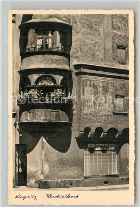 Liegnitz Legnica Wachtelkorb